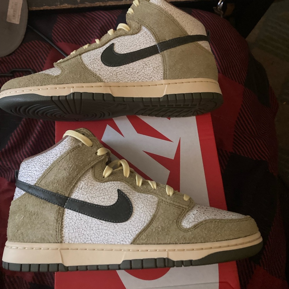 Nike dunk HI